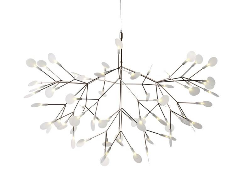  HERACLEUM